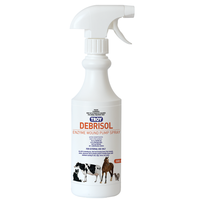 DEBRISOL 500ML