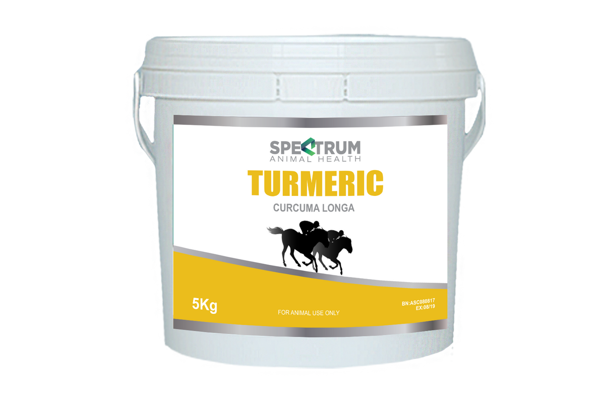 TURMERIC POWDER