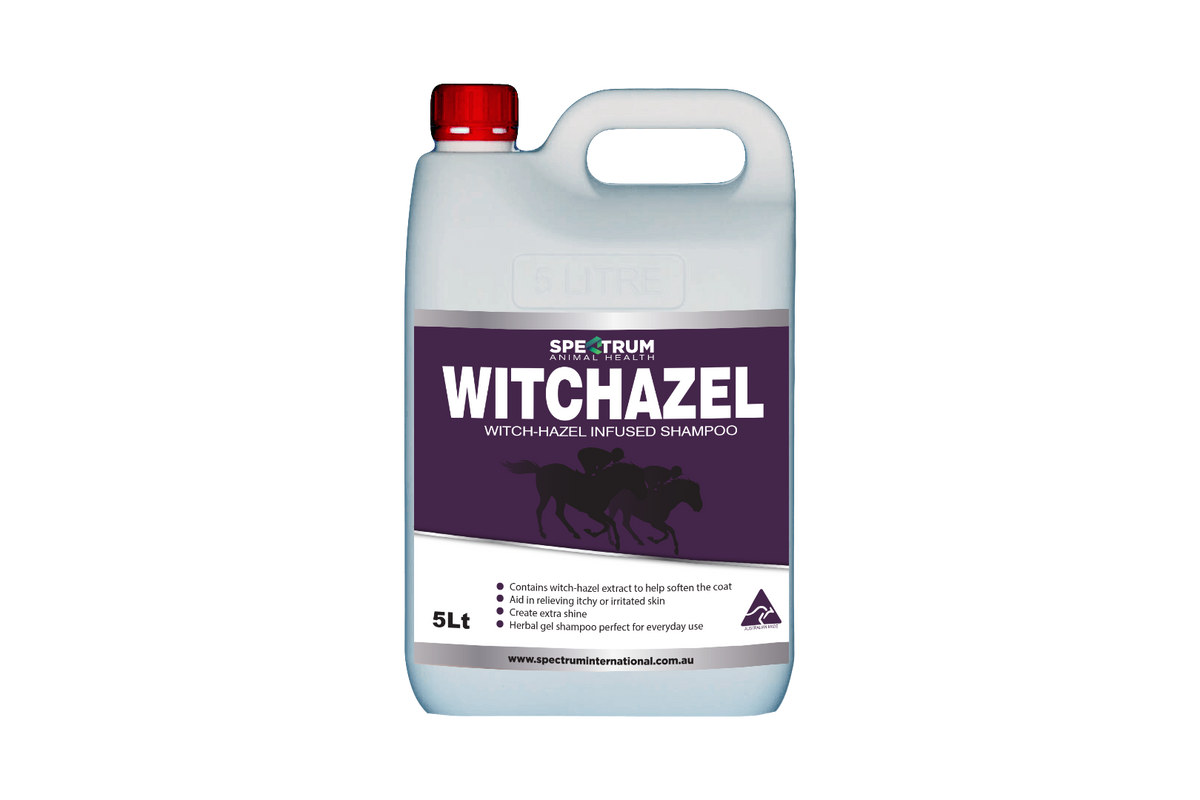WHITCHAZEL SHAMPOO