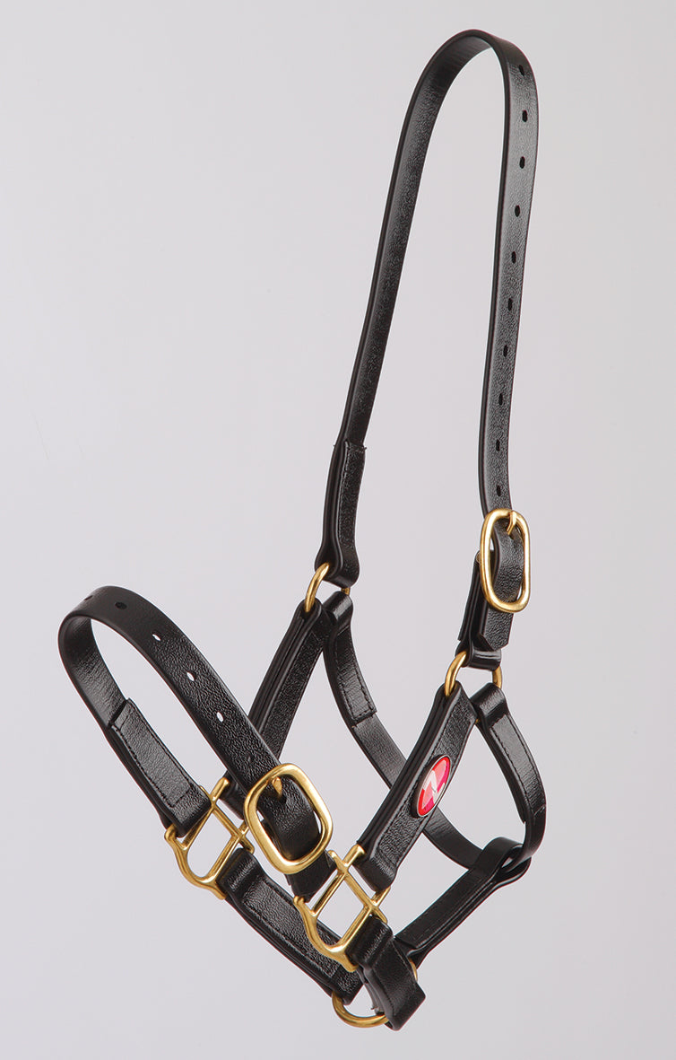 Zilco PN Halter 25mm