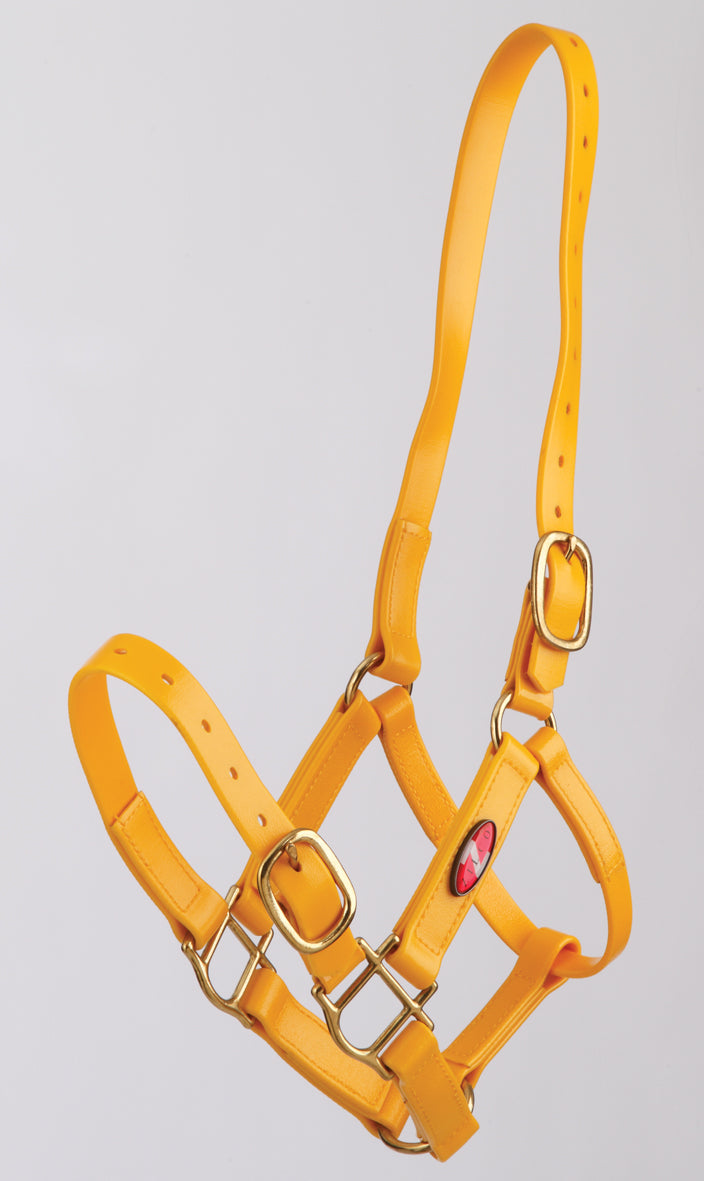 Zilco PN Halter 25mm