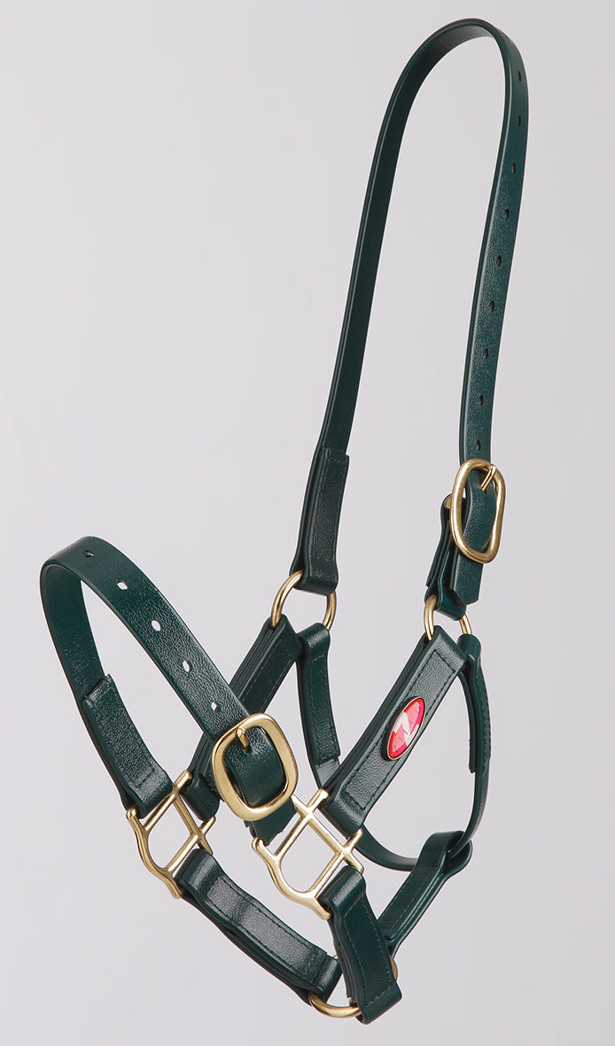 Zilco PN Halter 25mm