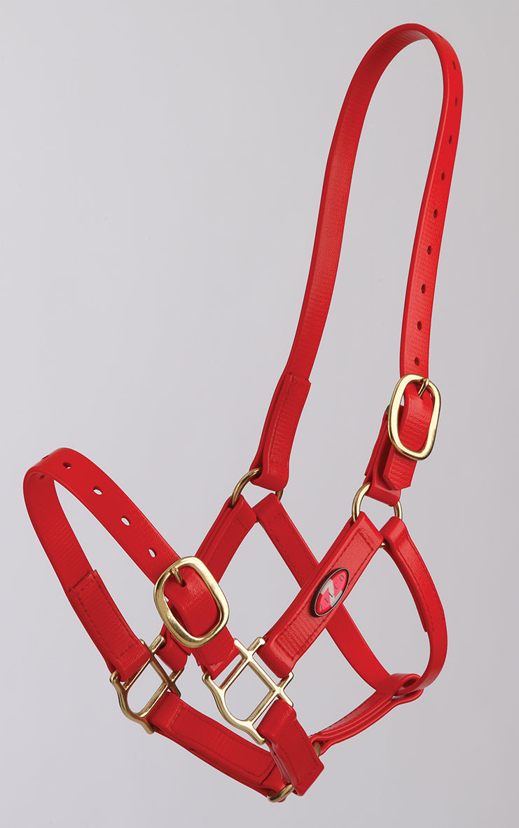 Zilco PN Halter 25mm