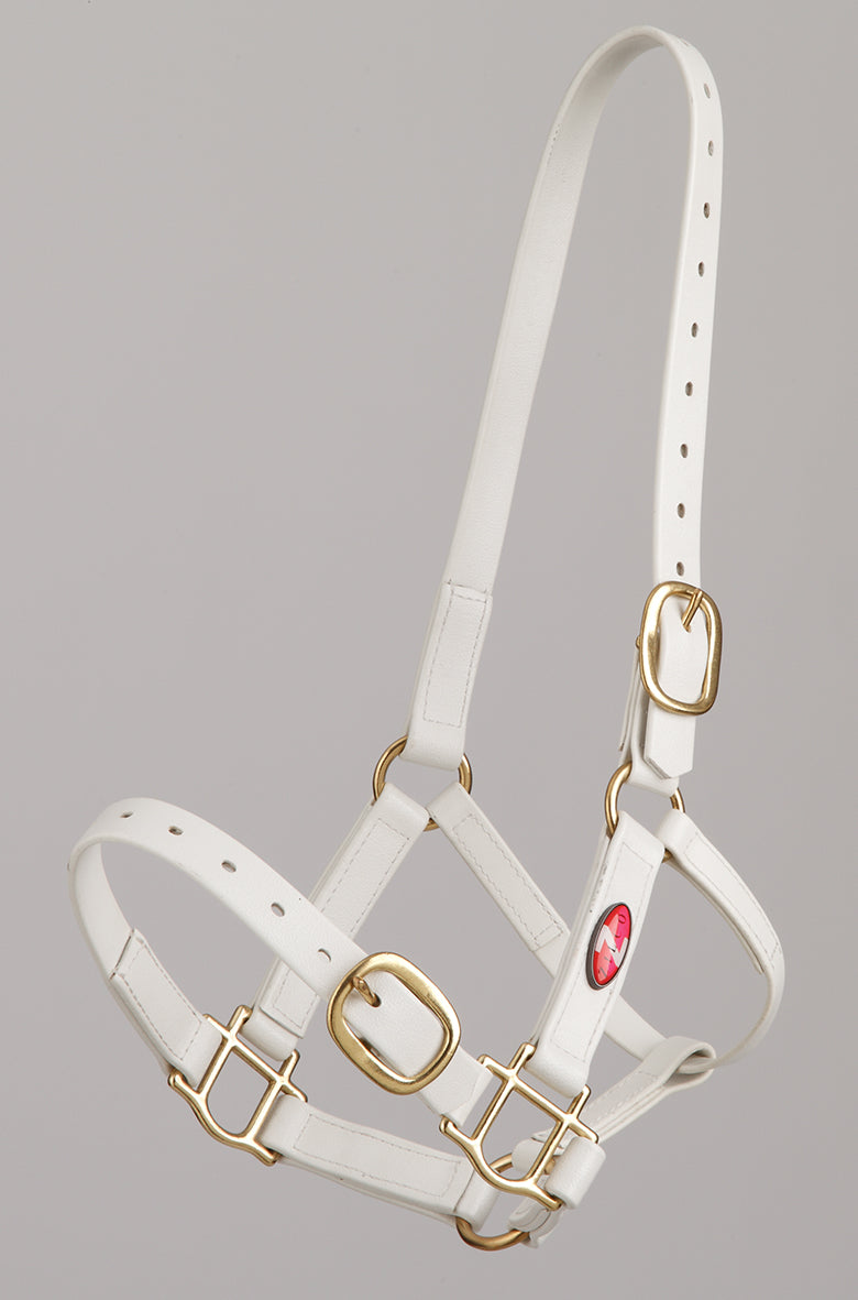 Zilco PN Halter 25mm