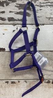 FOAL NYLON HALTER