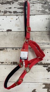 Horse Sense 1 Inch PN Halter with Brass Fittings