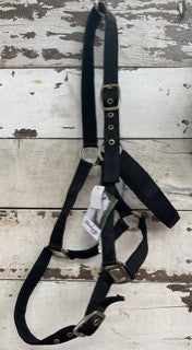 Horse Sense 1 Inch PN Halter with Brass Fittings