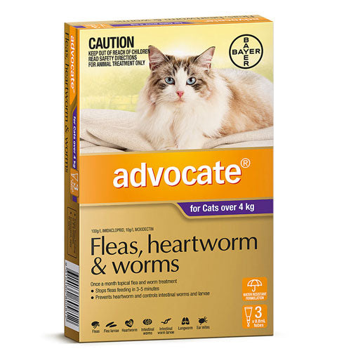 ADVOCATE CATS OVER 4KG