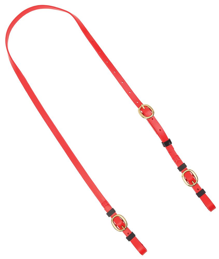 5/8 Inch Anti Rear Strap (SLS) Brass Buckles