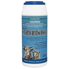 Antiseptic Dusting Powder 200gm