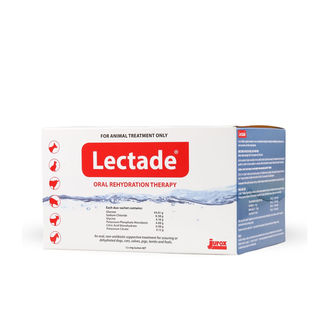 Lectade Sachets 66gm