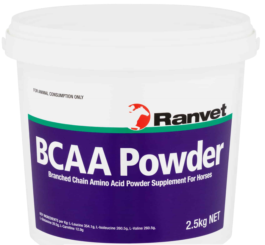 BRANCH CHAIN AMINO ACID POWDER 2.5KG