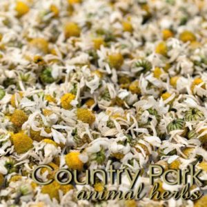 CHAMOMILE