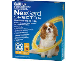 Nexgard Spectra Yellow 3.6-7.5Kg