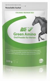 Ceva Green Amino Drench 300g