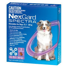 Nexgard Spectra Purple 15.1-30Kg