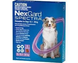 Nexgard Spectra Purple 15.1-30Kg