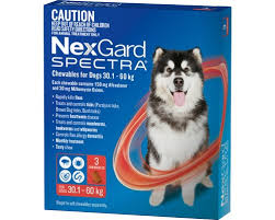 Nexgard Spectra Red 30.1-60Kg