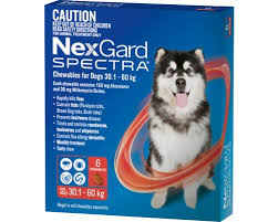 Nexgard Spectra Red 30.1-60Kg