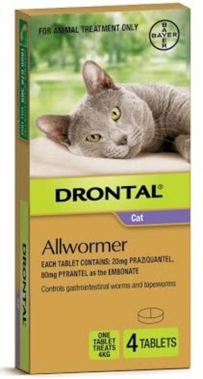 DRONTAL CAT ELLIPSOID 4KG PK 2