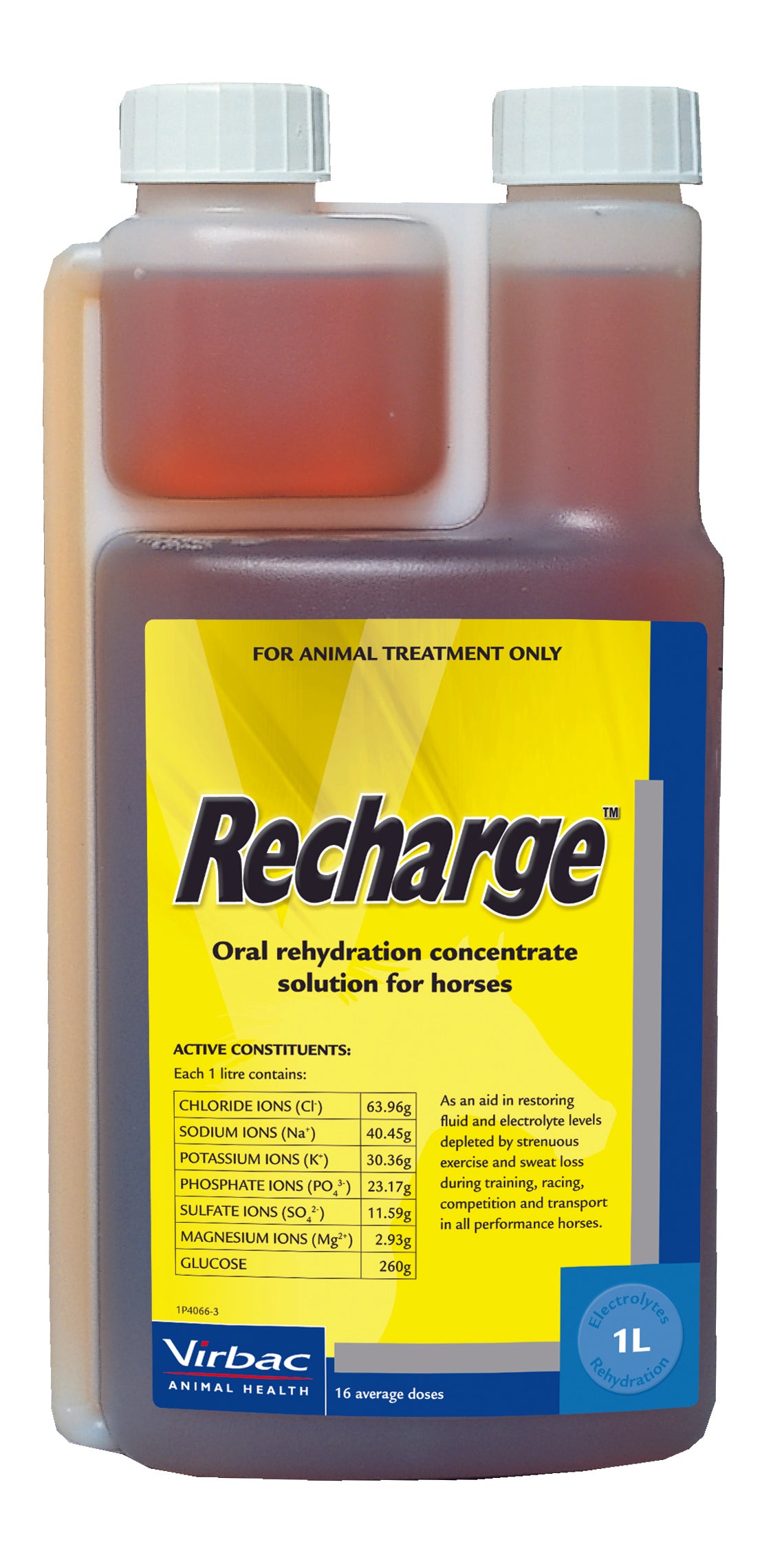 RECHARGE HORSE