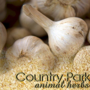 GARLIC GRANULES
