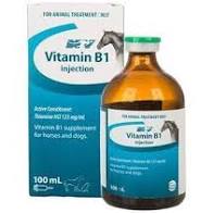 Ceva Vitamin B1 100ml Injection