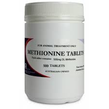Methionine Tablets 500 pack
