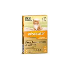 *ADVOCATE CATS AND KITTENS UP TO 4KG