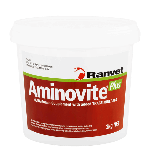 AMINOVITE PLUS
