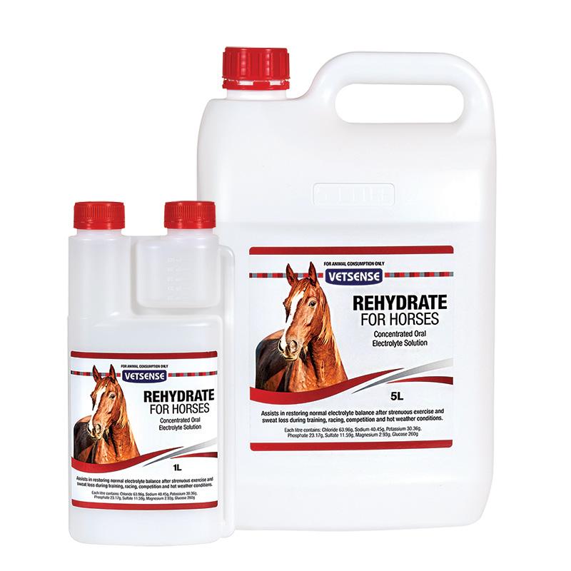 REHYDRATE FOR HORSES